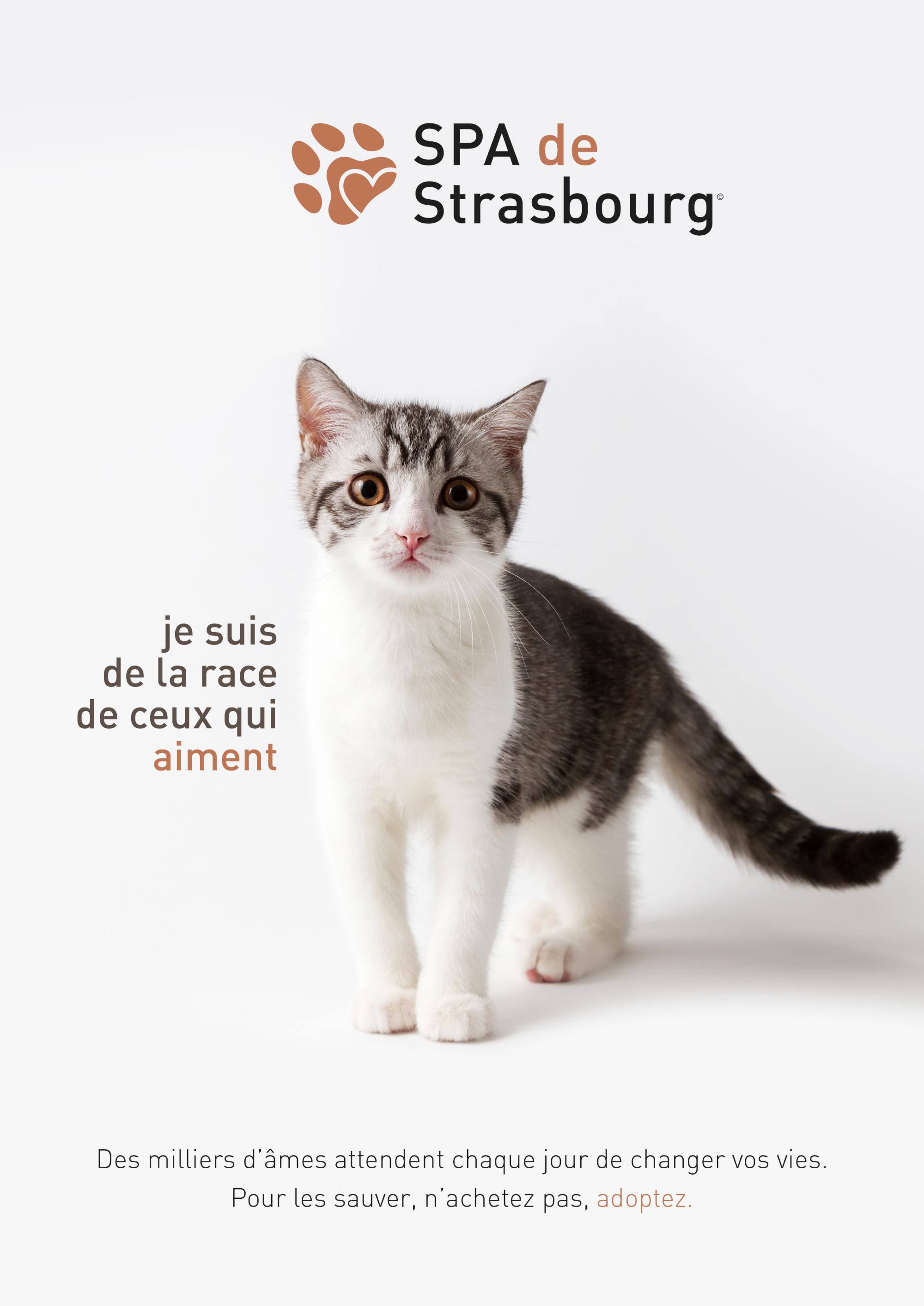 Création d'Affiches | SPA de Strasbourg