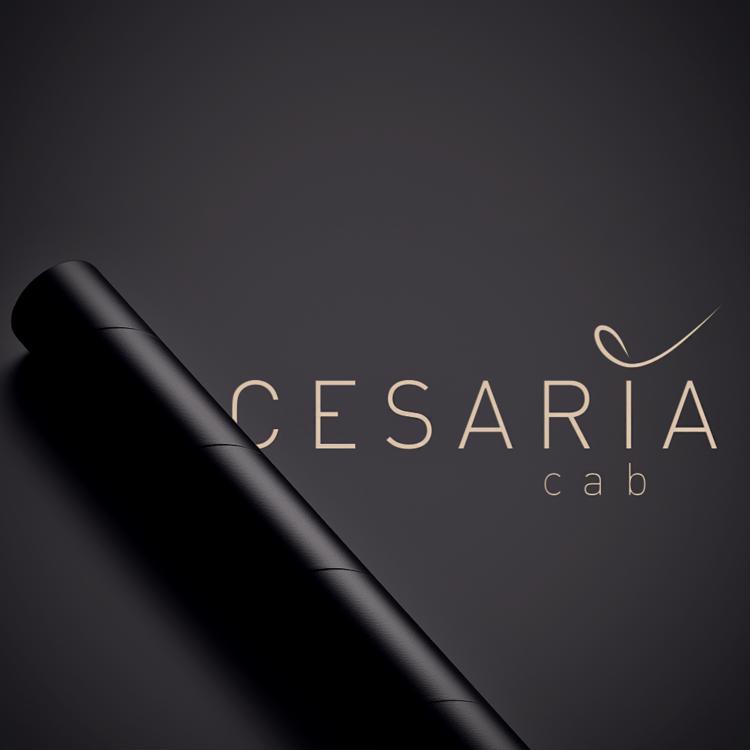 Création d'identité visuelle | Cesaria Cab